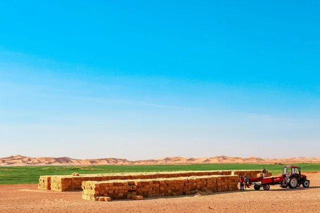 Industrie agroalimentaire - Projet Bureau ingénierie DEFI12 Machine de solidification et de broyage