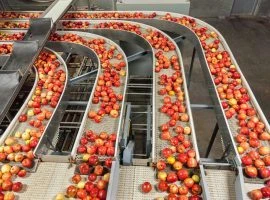 Defi 12 - Bureau études industrie agroalimentaire